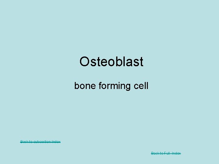 Osteoblast bone forming cell Back to subsection Index Back to Full Index 