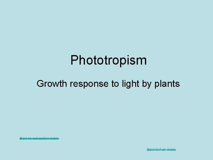 Phototropism Growth response to light by plants Back to subsection Index Back to Full