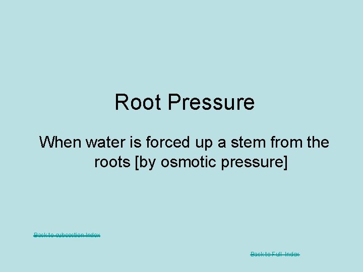 Root Pressure When water is forced up a stem from the roots [by osmotic