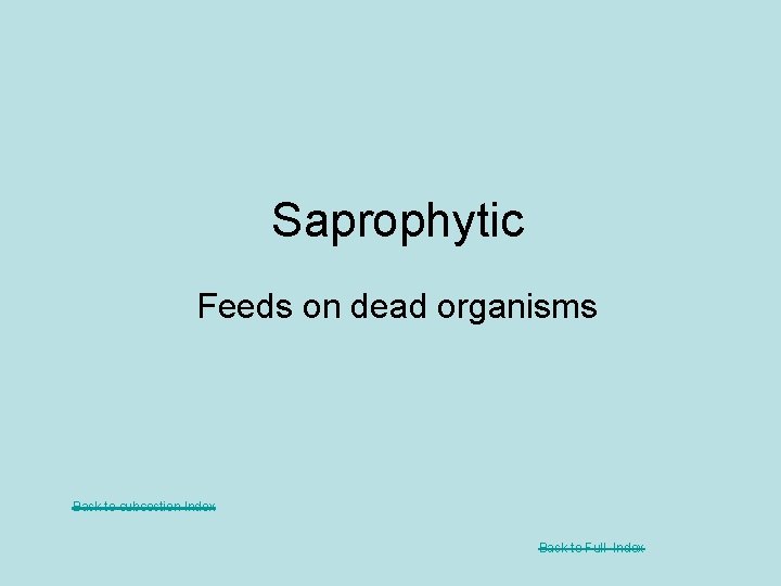 Saprophytic Feeds on dead organisms Back to subsection Index Back to Full Index 