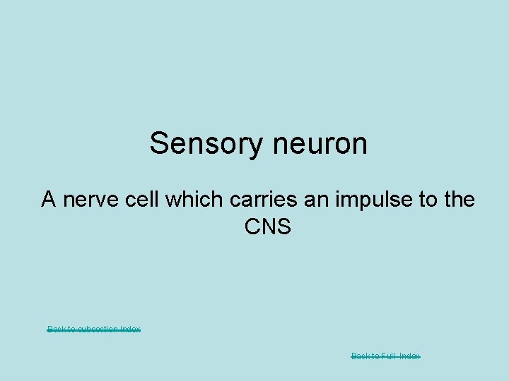 Sensory neuron A nerve cell which carries an impulse to the CNS Back to