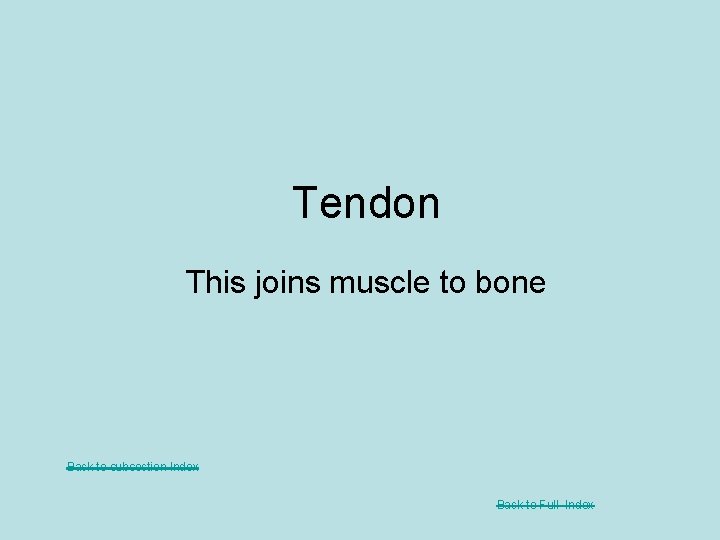 Tendon This joins muscle to bone Back to subsection Index Back to Full Index