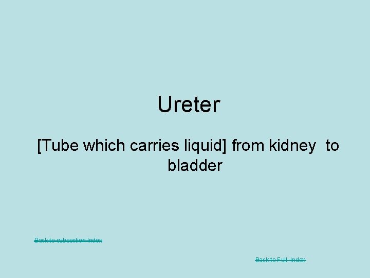 Ureter [Tube which carries liquid] from kidney to bladder Back to subsection Index Back