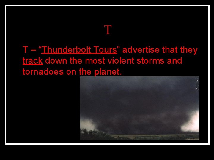 T n T – “Thunderbolt Tours” advertise that they track down the most violent
