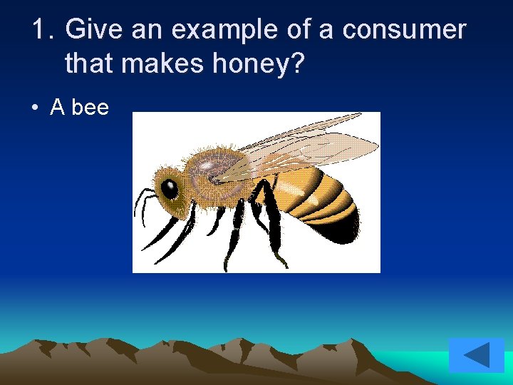 1. Give an example of a consumer that makes honey? • A bee 