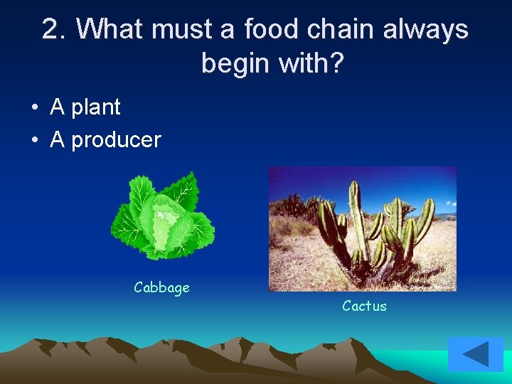 2. What must a food chain always begin with? • A plant • A