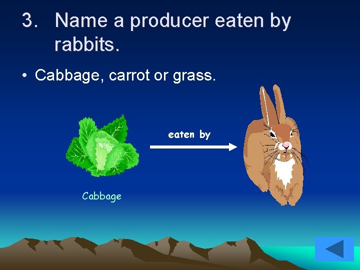 3. Name a producer eaten by rabbits. • Cabbage, carrot or grass. eaten by