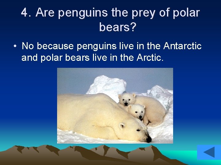 4. Are penguins the prey of polar bears? • No because penguins live in