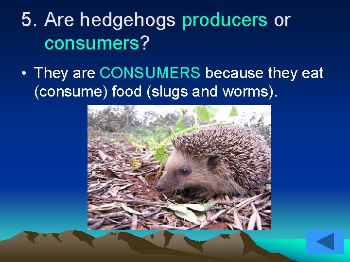 5. Are hedgehogs producers or consumers? • They are CONSUMERS because they eat (consume)