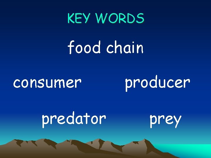 KEY WORDS food chain consumer predator producer prey 