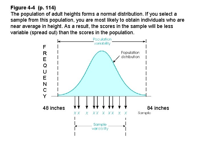 Figure 4 -4 (p. 114) The population of adult heights forms a normal distribution.