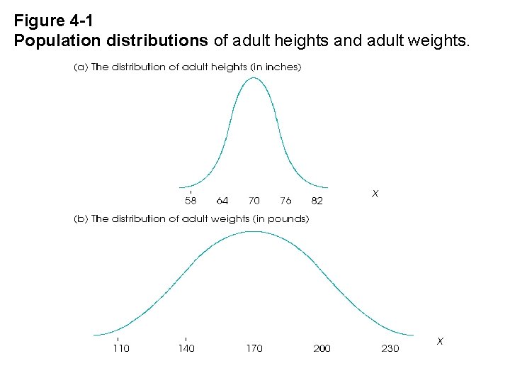 Figure 4 -1 Population distributions of adult heights and adult weights. 