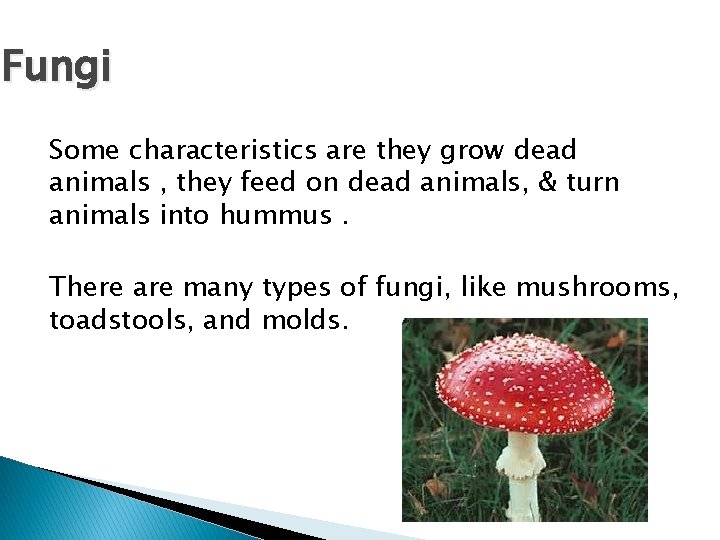 Fungi Some characteristics are they grow dead animals , they feed on dead animals,