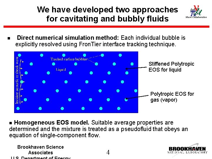We have developed two approaches for cavitating and bubbly fluids n Direct numerical simulation
