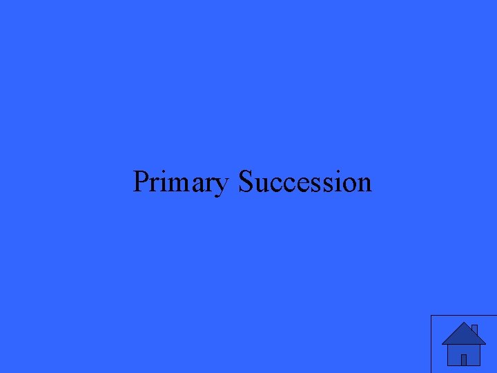 Primary Succession 13 