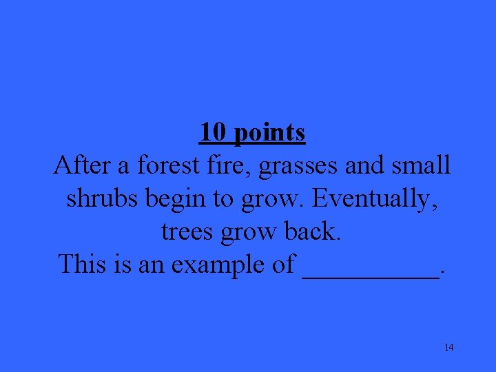 10 points After a forest fire, grasses and small shrubs begin to grow. Eventually,