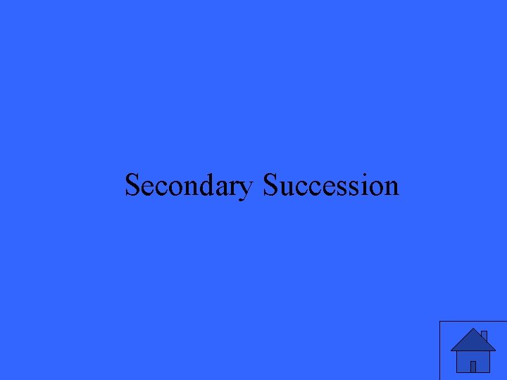Secondary Succession 15 