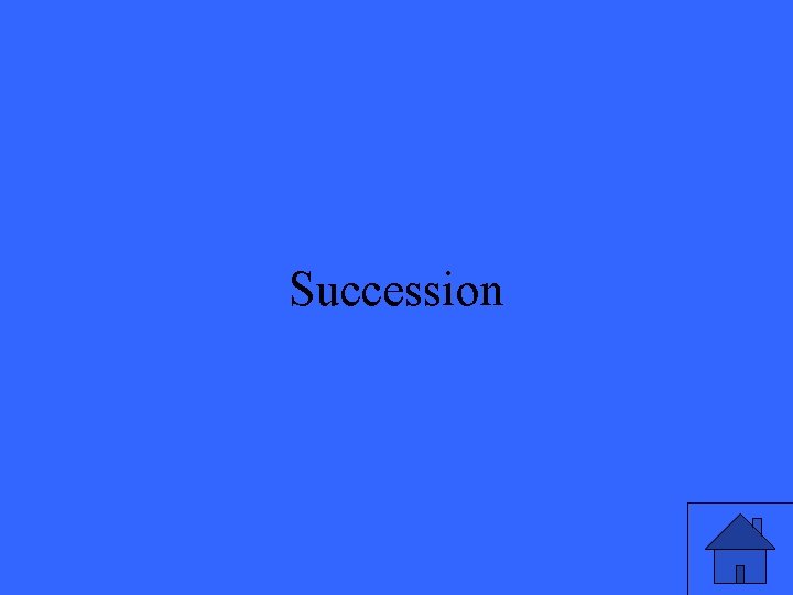 Succession 17 