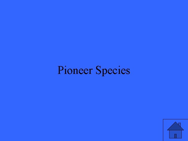 Pioneer Species 19 