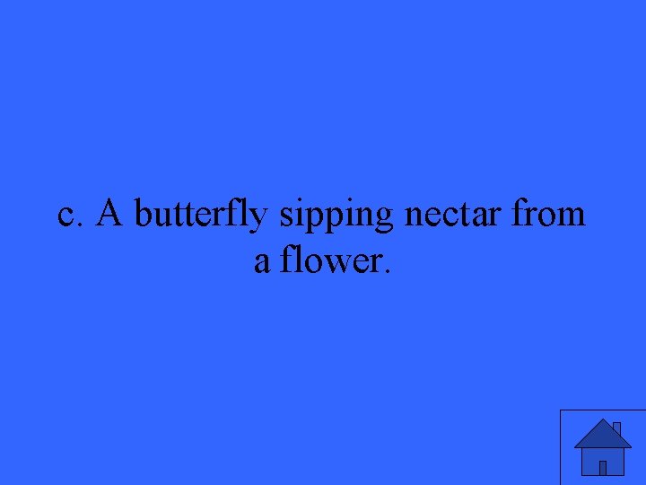 c. A butterfly sipping nectar from a flower. 3 