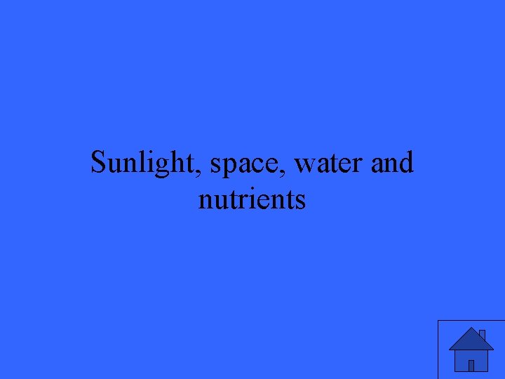 Sunlight, space, water and nutrients 31 