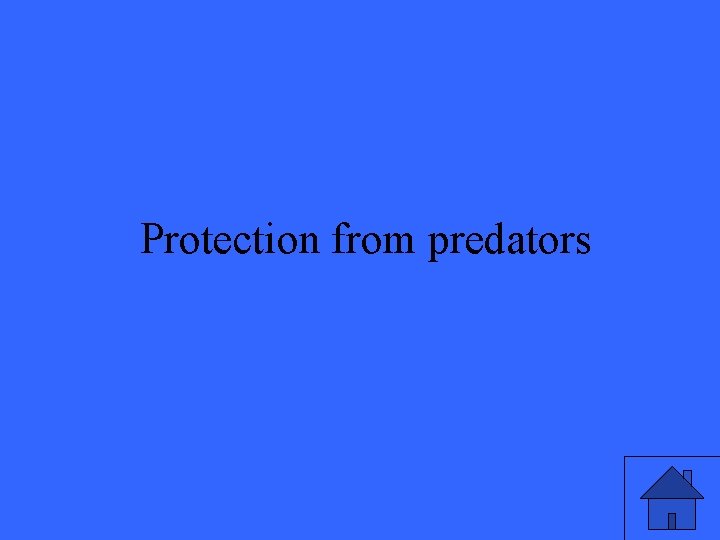 Protection from predators 45 