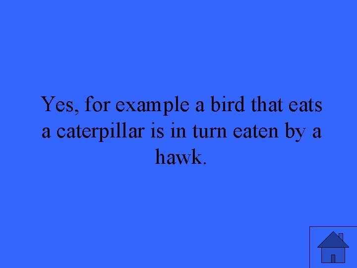 Yes, for example a bird that eats a caterpillar is in turn eaten by