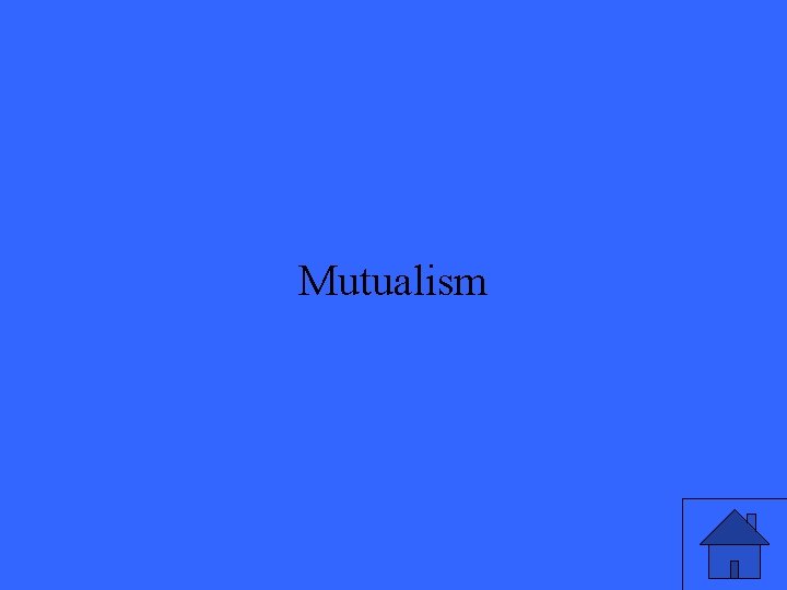 Mutualism 9 