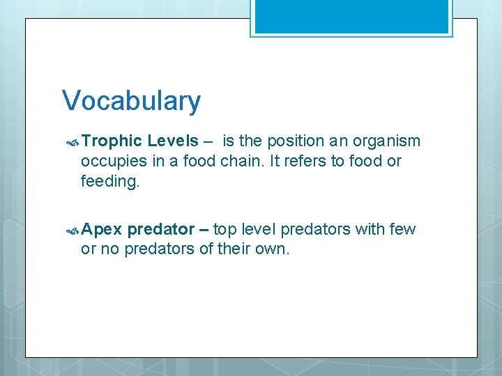 Vocabulary Trophic Levels – is the position an organism occupies in a food chain.