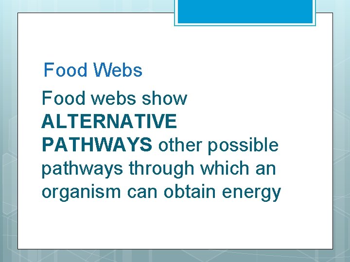 Food Webs Food webs show ALTERNATIVE PATHWAYS other possible pathways through which an organism