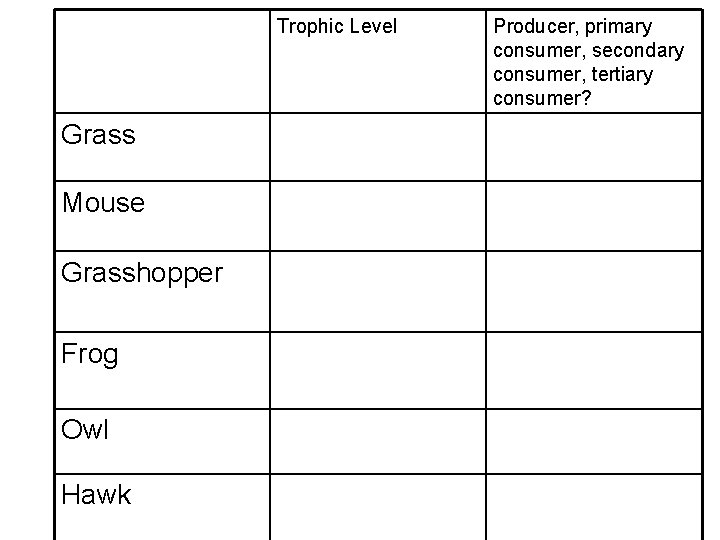 Trophic Level Grass Mouse Grasshopper Frog Owl Hawk Producer, primary consumer, secondary consumer, tertiary