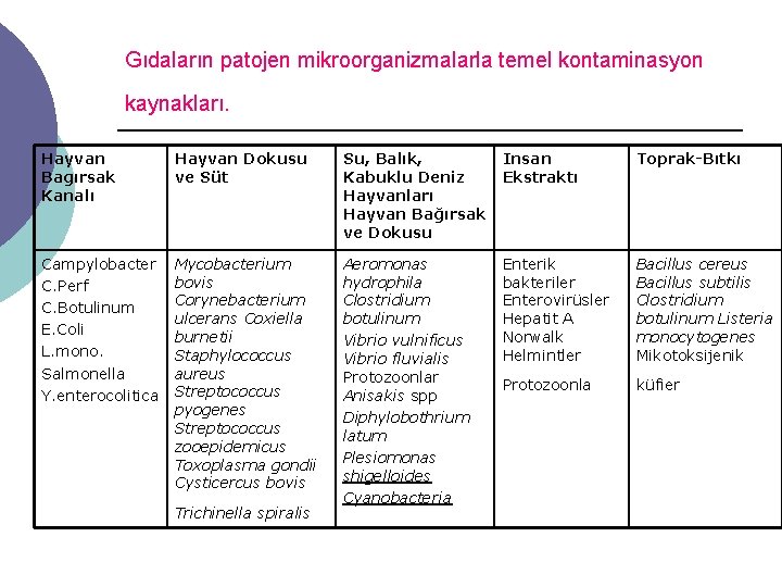 Gıdaların patojen mikroorganizmalarla temel kontaminasyon kaynakları. Hayvan Bagırsak Kanalı Hayvan Dokusu ve Süt Su,