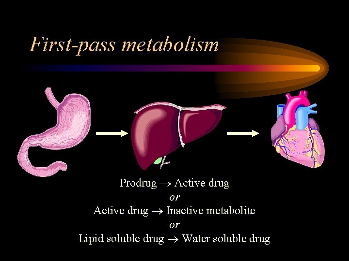 First-pass metabolism Prodrug Active drug or Active drug Inactive metabolite or Lipid soluble drug