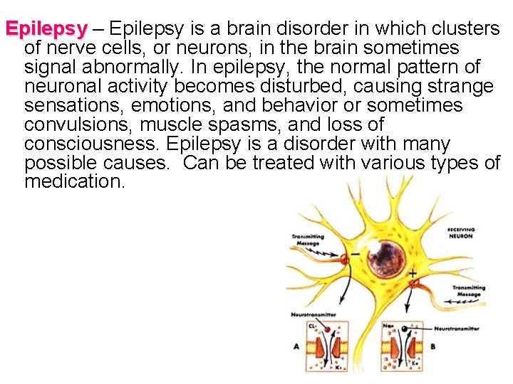 Epilepsy – Epilepsy is a brain disorder in which clusters of nerve cells, or