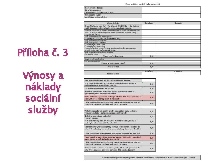 Příloha č. 3 Výnosy a náklady sociální služby 