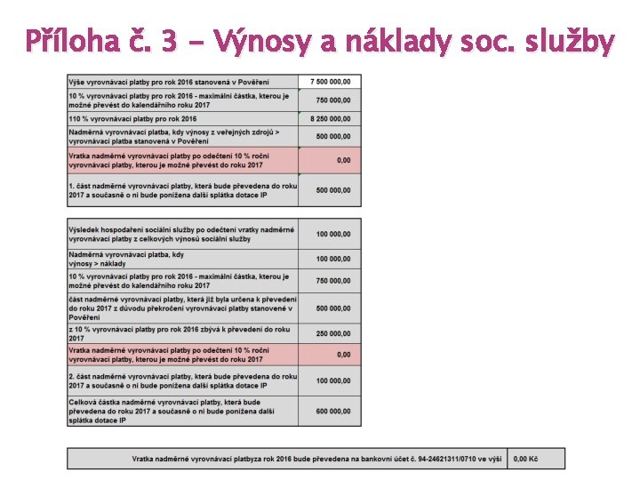 Příloha č. 3 - Výnosy a náklady soc. služby 