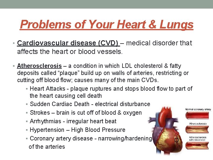 Problems of Your Heart & Lungs • Cardiovascular disease (CVD) – medical disorder that