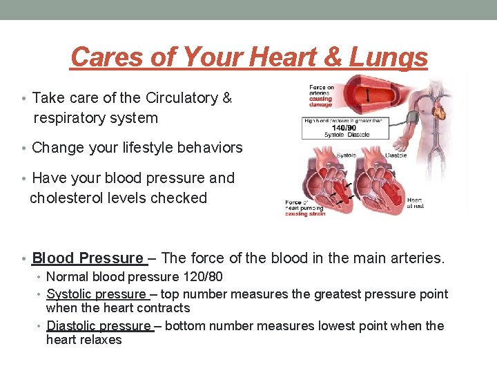 Cares of Your Heart & Lungs • Take care of the Circulatory & respiratory