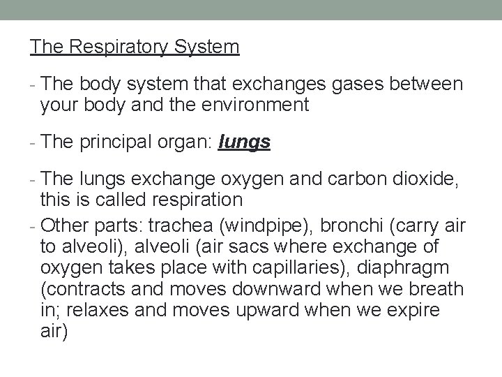 The Respiratory System - The body system that exchanges gases between your body and
