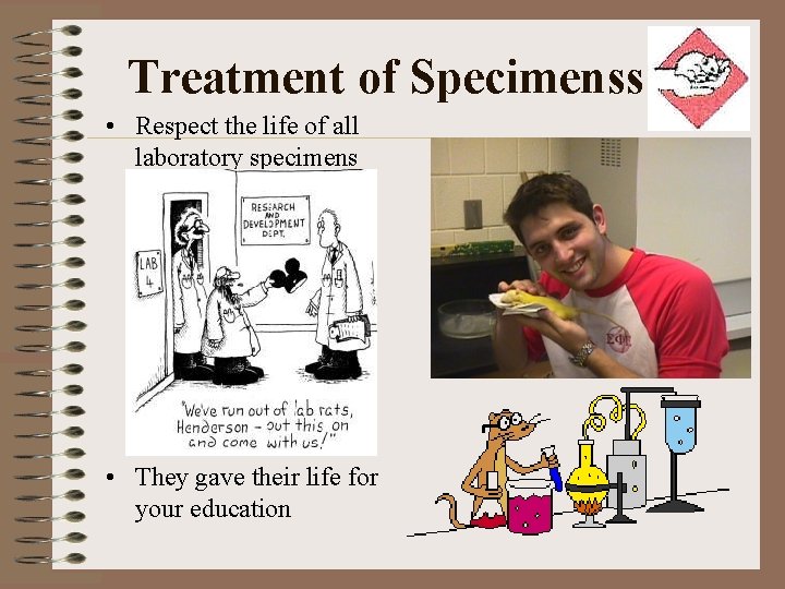 Treatment of Specimenss • Respect the life of all laboratory specimens • They gave