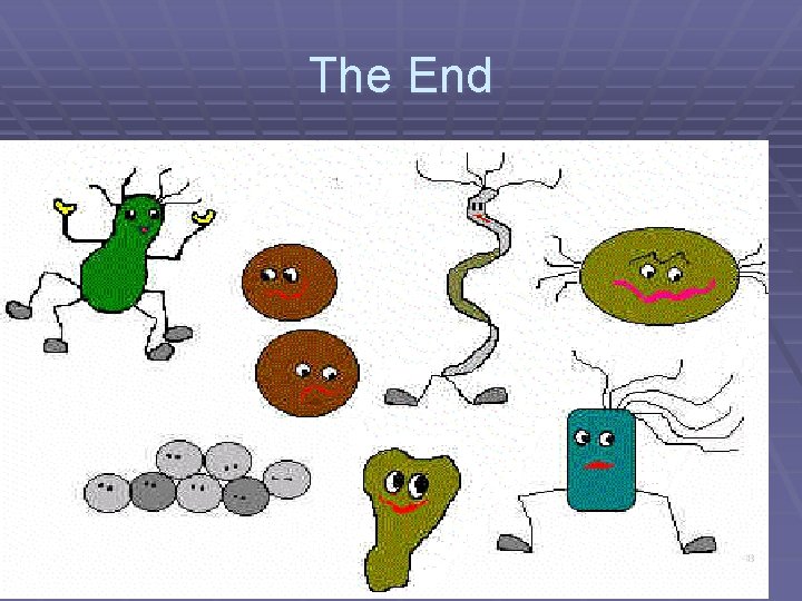 The End 48 
