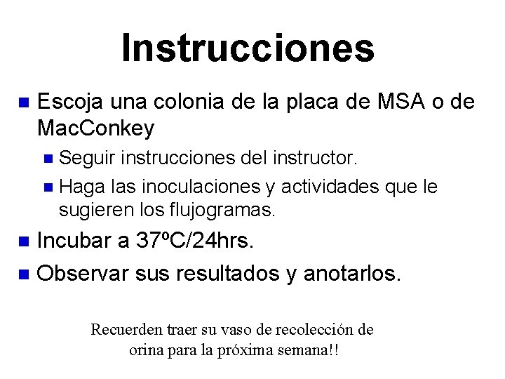 Instrucciones n Escoja una colonia de la placa de MSA o de Mac. Conkey