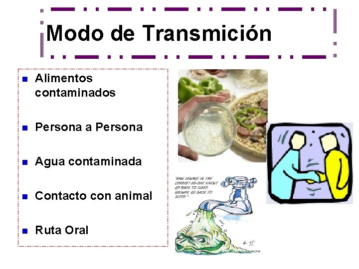 Modo de Transmición n Alimentos contaminados n Persona a Persona n Agua contaminada n