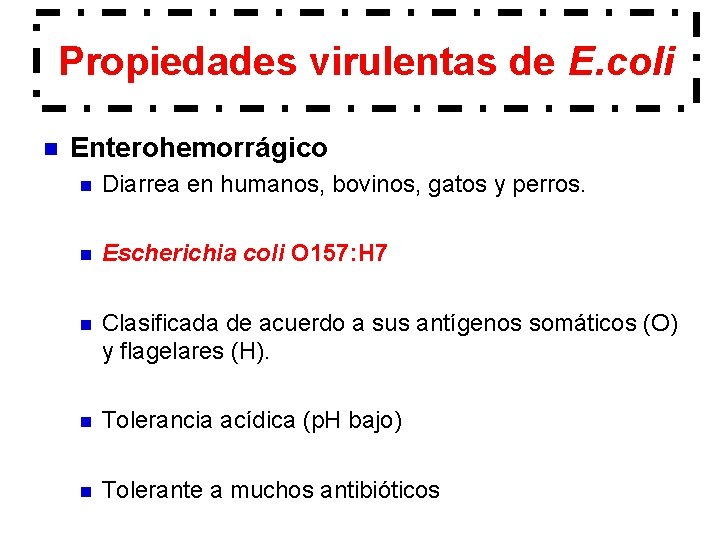 Propiedades virulentas de E. coli n Enterohemorrágico n Diarrea en humanos, bovinos, gatos y