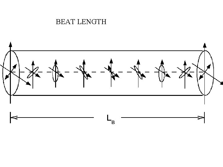 BEAT LENGTH 