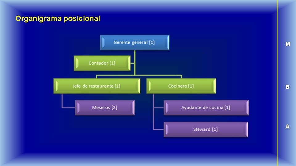 Organigrama posicional M B A 