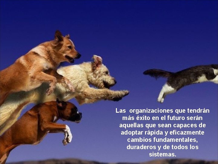 Las organizaciones que tendrán más éxito en el futuro serán aquellas que sean capaces