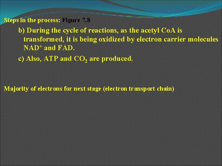 Steps in the process: Figure 7. 8 b) During the cycle of reactions, as