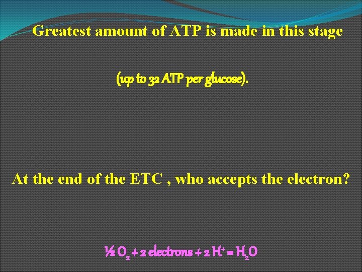 Greatest amount of ATP is made in this stage (up to 32 ATP per