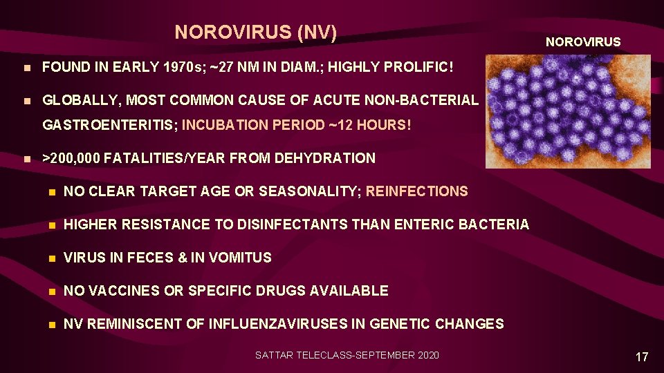 NOROVIRUS (NV) n FOUND IN EARLY 1970 s; ~27 NM IN DIAM. ; HIGHLY